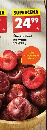 Biedronka Śliwki pluot oferta