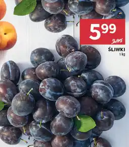 Stokrotka ŚLIWKI, 1 kg oferta