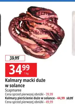 E.Leclerc Kalmary pierścienie Scapmaree oferta