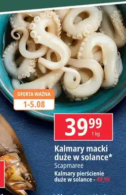 E.Leclerc Kalmary macki w solance Scapmaree oferta