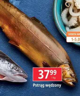 E.Leclerc Pstrąg wędzony oferta