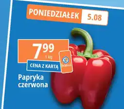 E.Leclerc Papryka czerwona oferta