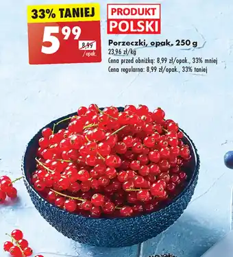 Biedronka Porzeczki Polski oferta