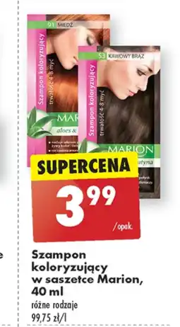 Biedronka Szampon koloryzujący Marion oferta