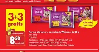 Biedronka Potrawka w galaretce z wołowiną Whiskas oferta