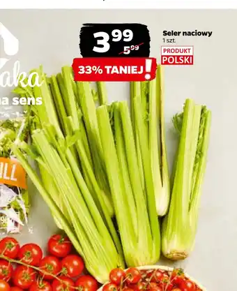 Netto Seler naciowy oferta