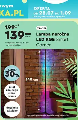 Biedronka Lampa narożna smart corner Tracer oferta