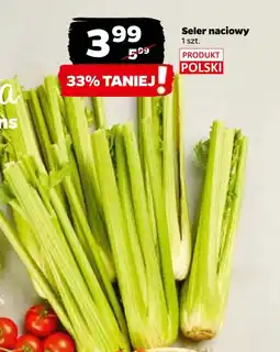 Netto Seler naciowy polska oferta