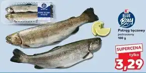 Kaufland Pstrąg tęczowy Blue oferta