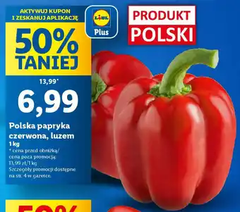 Lidl Polska papryka czerwona 1 kg oferta