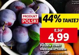 Lidl Śliwki oferta