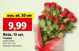 Lidl Róże, 13 szt. oferta
