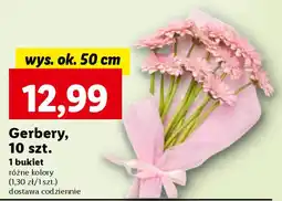 Lidl Gerbery, 10 szt. oferta