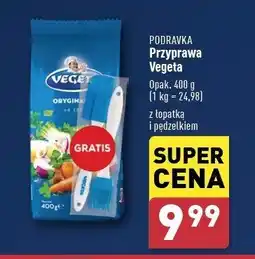 Przyprawa do potraw + pędzelek i łopatka Vegeta