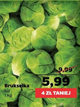 Netto Brukselka oferta