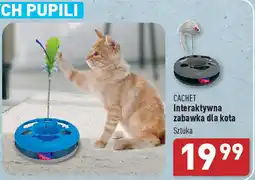 ALDI CACHET Interaktywna zabawka dla kota oferta