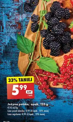 Biedronka Jeżyny polska oferta
