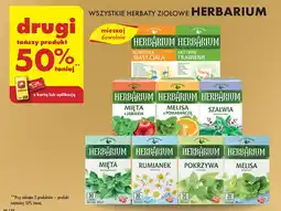 Biedronka Herbata aktywne trawienie Herbarium oferta