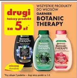 Biedronka Szampon do włosów magnetic charcoal Garnier Botanic Therapy oferta