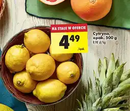 Biedronka Cytryny oferta