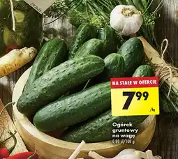 Biedronka Ogórek gruntowy oferta