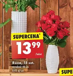 Biedronka Bukiet róż oferta