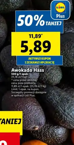 Lidl Awokado hass oferta