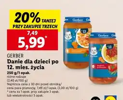 Lidl Obiadek spaghetti po bolońsku Gerber Junior oferta