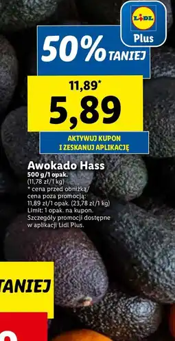 Lidl Awokado haas oferta
