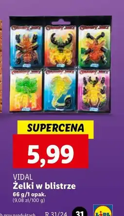 Lidl Żelki pająki Vidal oferta