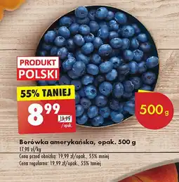 Biedronka Borówki amerykańskie polska oferta