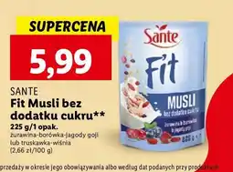Lidl Płatki pełnoziarniste truskawka malina wiśnia Sante fit oferta