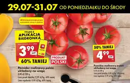 Biedronka Pomidory malinowe polska oferta