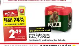 Biedronka Piwo Żubr oferta