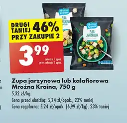 Biedronka Zupa mrożona Mroźna Kraina oferta
