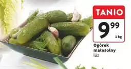 Intermarche Ogórek małosolny, 1 kg oferta