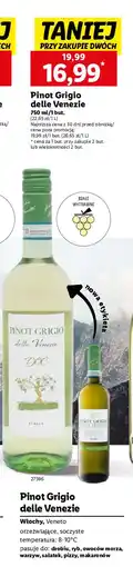 Lidl Wino Delle Venezie Pinot Grigio oferta