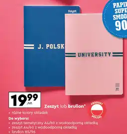 Biedronka Zeszyt tematyczny a4/60 k. Kayet oferta