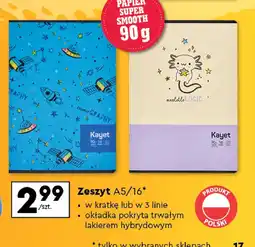 Biedronka Zeszyt a5/16 k. w 3 linie Kayet oferta