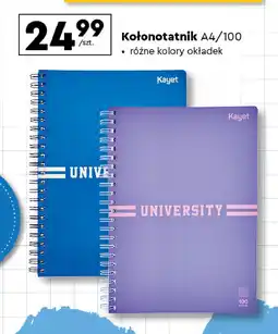 Biedronka Kołonotatnik a4/100 k. Kayet oferta