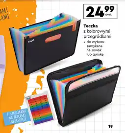 Teczka z kolorowymi przegródkami zamykana na gumkę Kayet