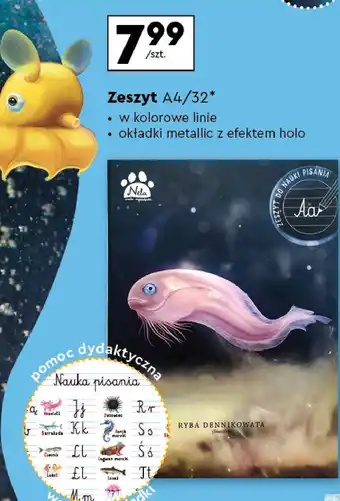 Biedronka Zeszyt a4 32 kartki kolorowa linia Interdruk oferta