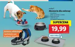 Lidl Zabawka edukacyjna dla psa Zoofari oferta