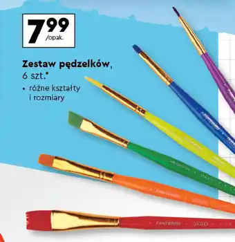Biedronka Pędzelki oferta