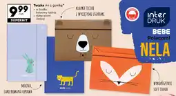 Biedronka Teczka a4 z gumką Interdruk oferta