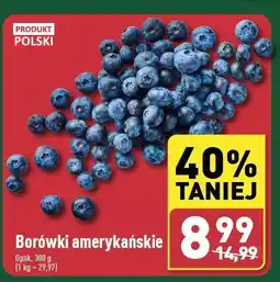 ALDI Borówki amerykańskie polska oferta