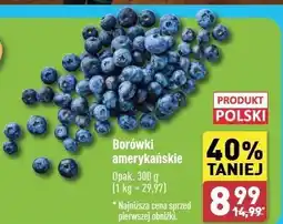 ALDI Borówki amerykańskie polska oferta