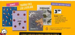 Biedronka Zeszyt a5/32 kartki kratka Interdruk oferta