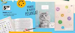 Biedronka Zeszyt a4 32 kartki kolorowa linia Interdruk oferta