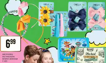 Dino Opaska do włosów oferta
